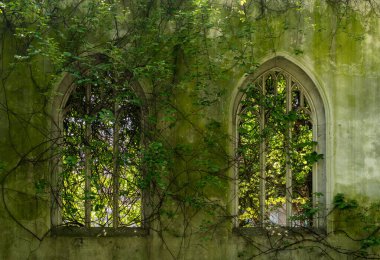 Londra 'daki St. Dunstan Kilisesi' nin yontulmuş taş pencereleri yapraklarla kaplı.