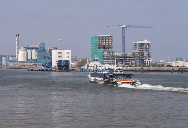 Woolwich London Травня 2023 Uberboat Thames Clipper Швидко Рухається Терміналу — стокове фото