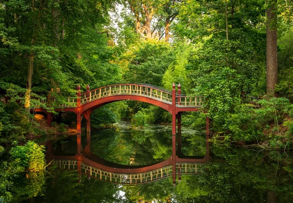 Украшенный Деревянный Мост Через Спокойный Пруд Крим Делл Кампусе Колледжа — стоковое фото