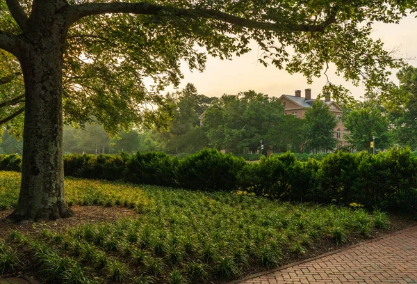Árboles Retroiluminados Junto Jardín Hundido William Mary College Williamsburg Virginia — Foto de Stock