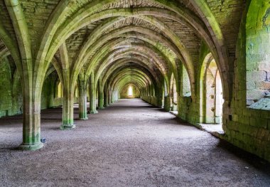 Birleşik Krallık Yorkshire 'da bulunan Fountains Abbey' in hücre tavanının ayrıntıları.