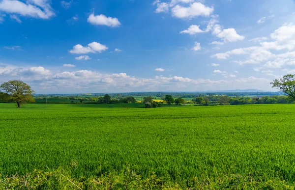 Bred Utsikt Över Gräsmark Och Ängar Från Walesiska Frankton Shropshire — Stockfoto