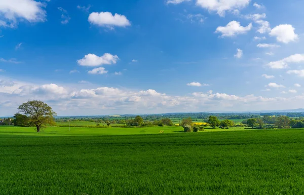 Bred Utsikt Över Gräsmark Och Ängar Från Walesiska Frankton Shropshire — Stockfoto