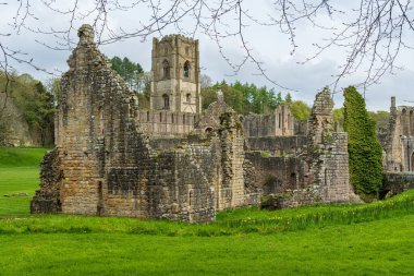 İlkbaharda İngiltere 'nin Yorkshire kentindeki Fountains Abbey harabelerinin ayrıntıları