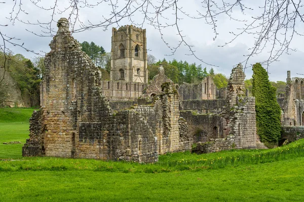 Detail Ruins Fountains Abbey Yorkshire United Kingdom Spring Leaves Start — Stock Photo, Image
