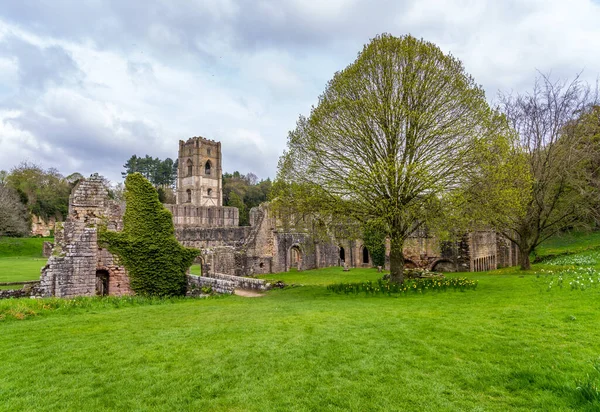Detalle Las Ruinas Abadía Fountains Yorkshire Reino Unido Primavera Cuando —  Fotos de Stock