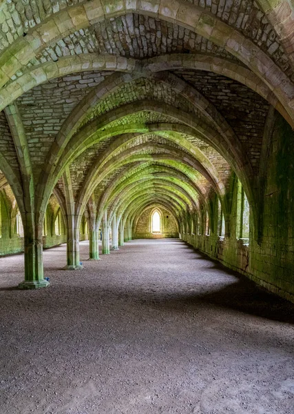 Detalle Del Techo Abovedado Del Cellareum Fountains Abbey Yorkshire Reino —  Fotos de Stock