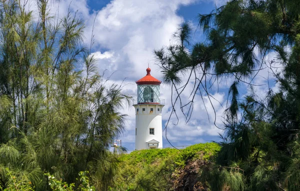 Kilauae Lighthouse Framed Local Plants Point North Coast Kauai — Stock Photo, Image