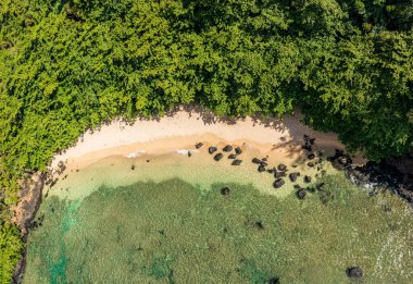 Hawaii 'nin Kauai adasının kuzey kıyısındaki Princeville' deki küçük kumlu Sealodge plajının yukarıdan görünüşü.