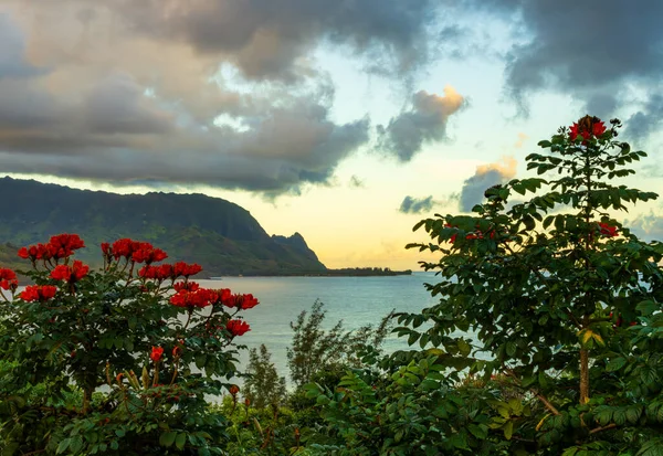 Yükselen Güneş Kauai Deki Hanalei Körfezi Nin Karşısındaki Pali Dağlarının — Stok fotoğraf