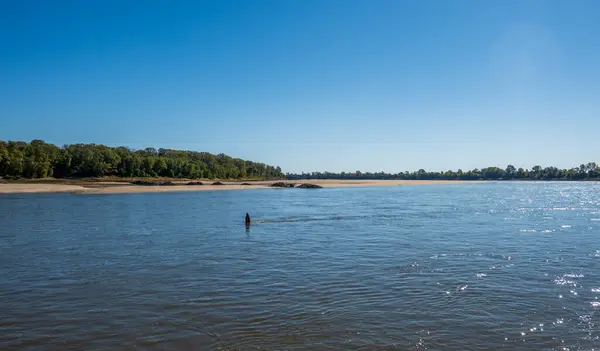 Χαμηλά Επίπεδα Νερού Στο Κάτω Ποτάμι Του Μισισιπή Εκθέτουν Ράβδους — Φωτογραφία Αρχείου