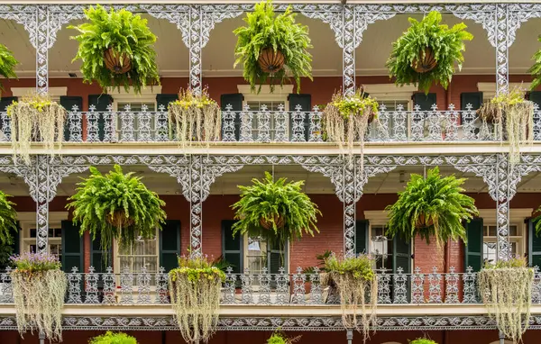 Závěsné Koše Tradiční New Orleans Budovy Royal Street Francouzské Čtvrti Stock Snímky