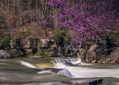 Batı Virginia, Fairmont yakınlarındaki Valley Falls Eyalet Parkı. Renkli ve parlak bir bahar gününde ağaçlarda kırmızı tomurcuklar açar.