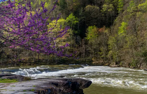 Batı Virginia Fairmont Yakınlarındaki Valley Falls Eyalet Parkı Renkli Parlak — Stok fotoğraf