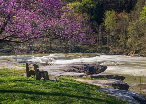 西维吉尼亚州费尔蒙特附近的山谷瀑布州立公园 在一个五彩缤纷的春天 树上开着红花 法庭俯瞰着这个公园 免版税图库图片