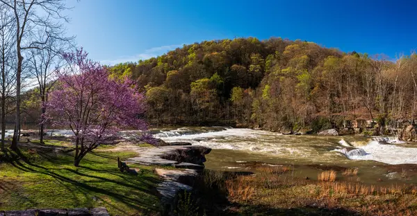 西弗吉尼亚费尔蒙特附近的山谷瀑布州立公园 在一个五彩缤纷的春日里 树上绽放着红花 图库图片