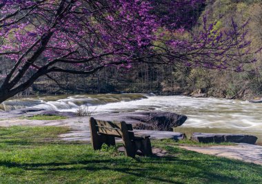 Batı Virginia, Fairmont yakınlarındaki Valley Falls Eyalet Parkı 'na bakan bankta. Renkli ve parlak bir bahar günü ağaçlarda kırmızı tomurcuklar açar.