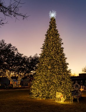 Her Aralık ayında Johnson City, Teksas 'ta şehir merkezindeki parkta parlayan ışıklar bir Noel ağacı oluşturur.