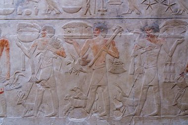 Hayvanlar ve kuşlarla dolu hizmetkarlar Kagemni 'nin mezarının duvarlarına oyulmuş, Vezir' den Kral Teti 'ye, Sakkara Mezarlığı' nda.