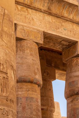 Luxor yakınlarındaki Karnak Tapınağı 'nın çatısını destekleyen sayısız taş sütunlardaki oymaların ayrıntıları