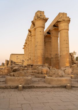 Mısır 'daki Luxor Tapınağının çatısını destekleyen sayısız taş sütun