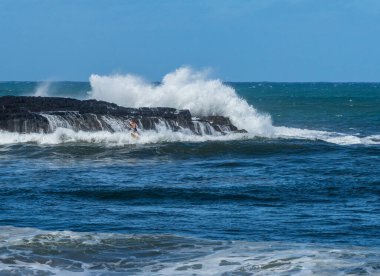 A surfer is falling off surfboard amidst the waves crashing on the rocks at Lumahai Beach, Kauai, Hawaii clipart