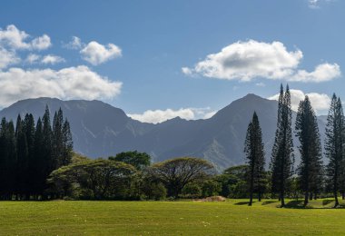 Princeville 'deki golf sahasında çam ağaçlarını pişir. Uzaktaki Kauai' nin Na Pali dağları ile.