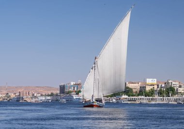 Aswan, Mısır - 4 Kasım 2024: Felucca Nil üzerinde bir gemi gezisi için tam yelkenliyle akıntıya karşı yüzüyor