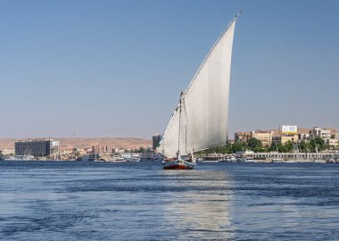 Aswan, Mısır - 4 Kasım 2024: Felucca Nil üzerinde bir gemi gezisi için tam yelkenliyle akıntıya karşı yüzüyor