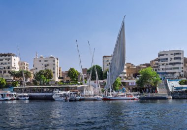 Aswan, Mısır - 4 Kasım 2024: Felucca diğer tur tekneleriyle birlikte Nil üzerinde bir gemi gezisi için rıhtımdan ayrıldı