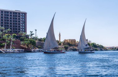 Aswan, Mısır - 4 Kasım 2024: Yeni Katarakt Oteli 'nin rüzgarına karşı yüzen iki felucca teknesi