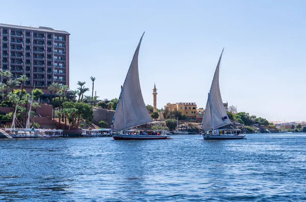 Aswan, Mısır - 4 Kasım 2024: Yeni Katarakt Oteli 'nin rüzgarına karşı yüzen iki felucca teknesi