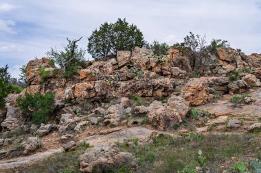 Teksas 'taki Ink Gölü Parkı' nın yanında kaktüs ve dayanıklı ağaçlarla birlikte büyüyen granit.