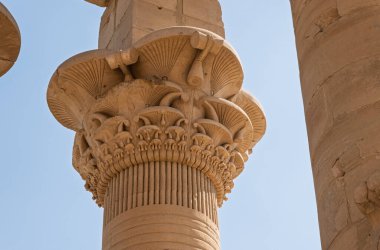 Aswan Limanı veya Mısır 'daki Reservoir Tapınağı' ndaki sütunların kabartma oymalarının ayrıntıları