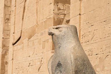 Horus ve Hathor 'a adanmış Edfu' daki büyük tapınağın girişindeki Sütun 'un dışındaki oyulmuş Horus heykelinin ayrıntıları.