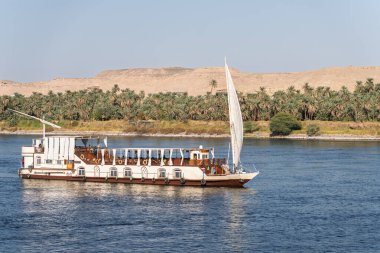 Dahabiya Nil yolcu gemisi, Aswan yakınlarındaki Nil nehrinde palmiye ağaçları olan kumlu bir çöl boyunca yelken açıyor.