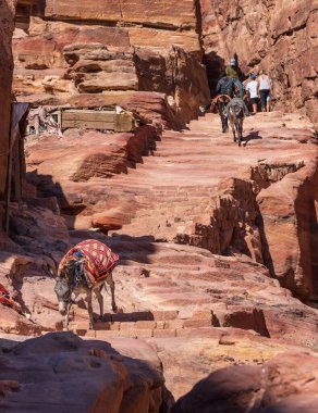 Tek bir eşek ya da katır, Ad Deir 'e ya da Petra' dan 1.6 km ve 800 adım uzaklıktaki manastıra giden yolda merdivenlerden aşağı iniyor.