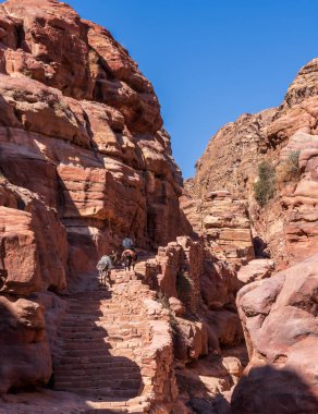 Eşek üstündeki yerel bir adam Ad Deir 'e veya Petra' dan 1,6 km ve 800 adım uzaklıktaki manastıra giden yolda merdiveni yukarı çekti.