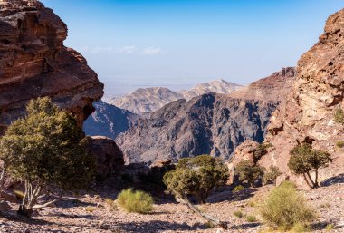 Patikanın tepesinden kayalık dağ sırasındaki manastıra bak ve Wadi Araba çölüne kadar git.