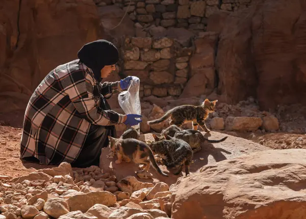 Petra, Ürdün - 10 Kasım 2024: Petra harabelerinde yaşayan vahşi kedileri besleyen kadın