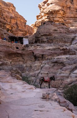 Dükkanlar ve tezgahlar yolu Ad Deir 'e ya da Petra' daki Manastır 'a bağlıyor.
