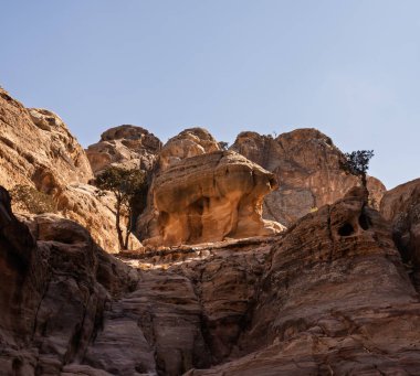 Manastıra ya da Petra 'daki Ad Deir' e giden uzun ve zorlu patikada alışılmadık bir kaya oluşumu.