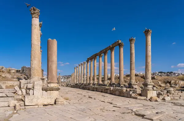 Sütunlar, Ürdün 'de iyi korunmuş bir Greko-Romen şehri olan Jerash' ın ana caddesi olan Cardo Maximus 'a uzanıyor.
