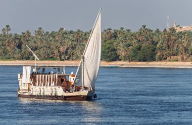 Dahabiya Nil yolcu gemisi, Aswan yakınlarındaki Nil nehrinde palmiye ağaçları olan kumlu bir çöl boyunca yelken açıyor.