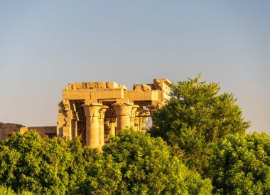 Muhteşem Sobek ve Horus tapınağı Kom Ombo 'daki Nil Nehri' ni kaplayan ağaçların üzerinde duruyor.