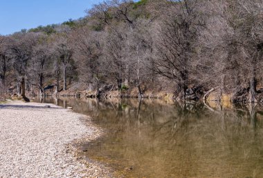 Guadalupe Nehri Eyalet Parkı 'nda kayalık sahil boyunca nehir kenarında manzaralı bir Teksas manzarası var.