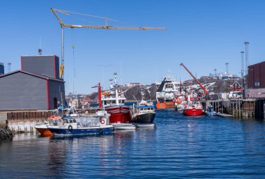 Nuuk, Grönland - 24 Mayıs 2025: Birçok balıkçı teknesi ve büyük balıkçı tekneleriyle Nuuk limanının içi