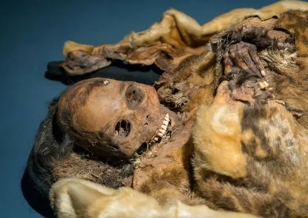 Grönland, Nuuk yakınlarında donmuş olarak bulunan mumyalanmış insan yüzünün karmaşık detayları Qilakitsoq Mummileri olarak bilinir.