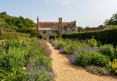 Wight Adası 'ndaki Elizabeth dönemine ait taş bir evi çevreleyen çitli bir bahçede taşan çalılar.