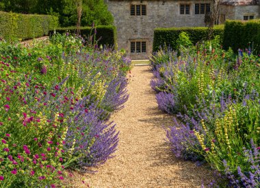 Wight Adası 'ndaki Elizabeth dönemine ait taş bir evi çevreleyen çitli bir bahçede taşan çalılar.